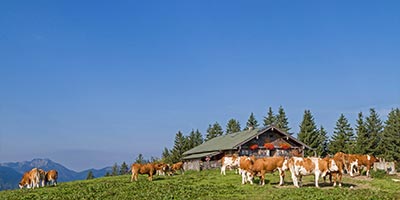 Infos für Vermieter & Wohnungseigentümer